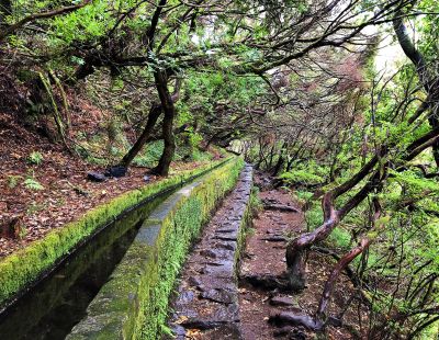 Une levada dans les montagnes de Madère